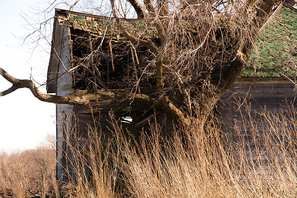 Abandond Architecture_-3