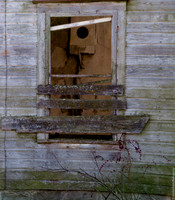 Abandond Architecture_